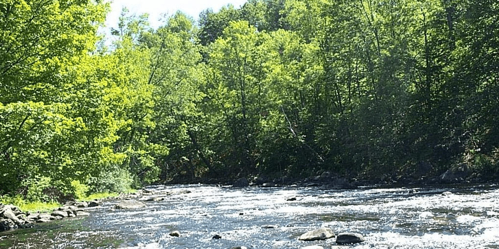 A sunny day on the upper Merrimack River